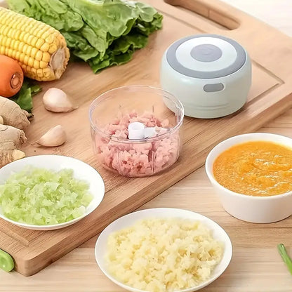 Portable Electric food Chopper